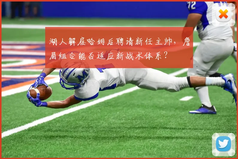 湖人解雇哈姆后聘请新任主帅，詹眉组合能否适应新战术体系？